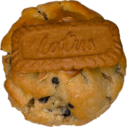 SPECULOOS