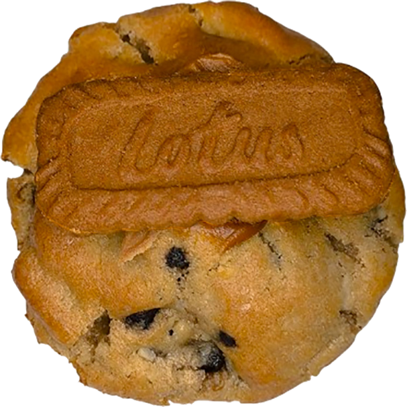 SPECULOOS