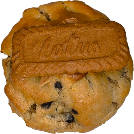 SPECULOOS