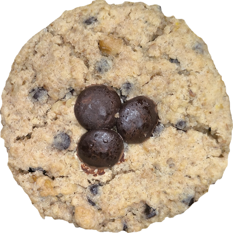 AVENA y CHOCOLATE