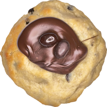 CHOCOKONG
